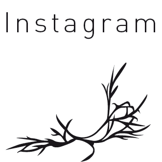 instagram sidebar